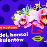 Wystawa Orchidei Bonsai i Sukulentów - Łódź 2021