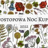 autostopowa noc kupały