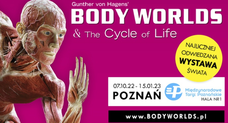 Body Worlds: Poznań | Poznań