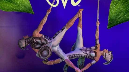 Cirque du Soleil: OVO | Gliwice