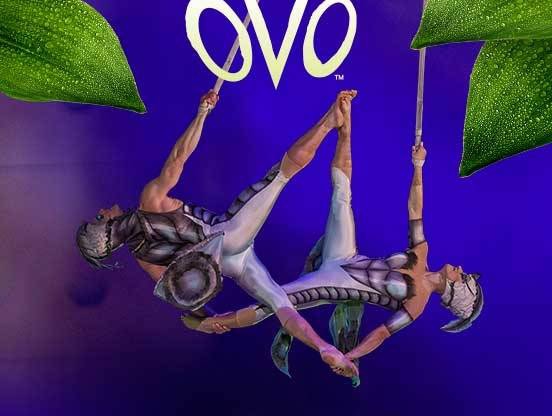 Cirque du Soleil: OVO | Gliwice