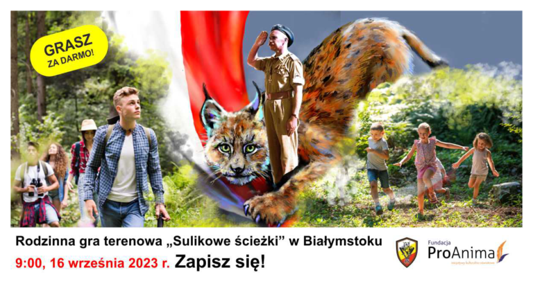 Gra terenowa - Sulikowe ścieżki