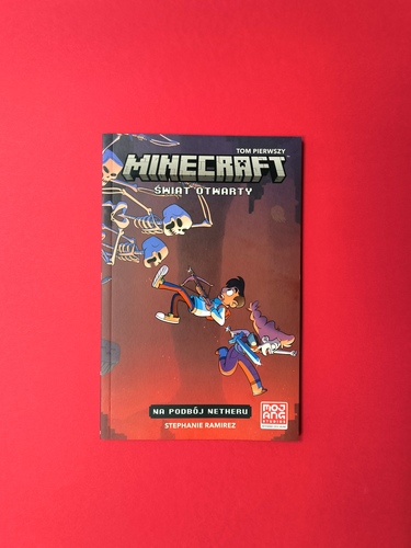 Minecraft recenzja