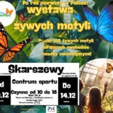 Wystawa ŻYWYCH motyli - Skarszewy