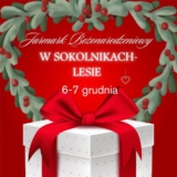 Jarmark bożonarodzeniowy w Sokolniki - Las III