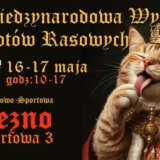 Międzynarodowa Wystawa Kotów Rasowych - Gniezno