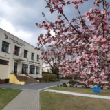 Dni Miasta i Gminy Stąporków
